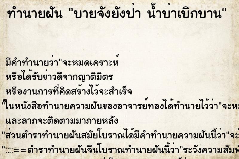 ทำนายฝัน บายจังยังป่า น้ำบ่าเบิกบาน ทำนายฝัน บายจังยังป่า น้ำบ่าเบิกบาน